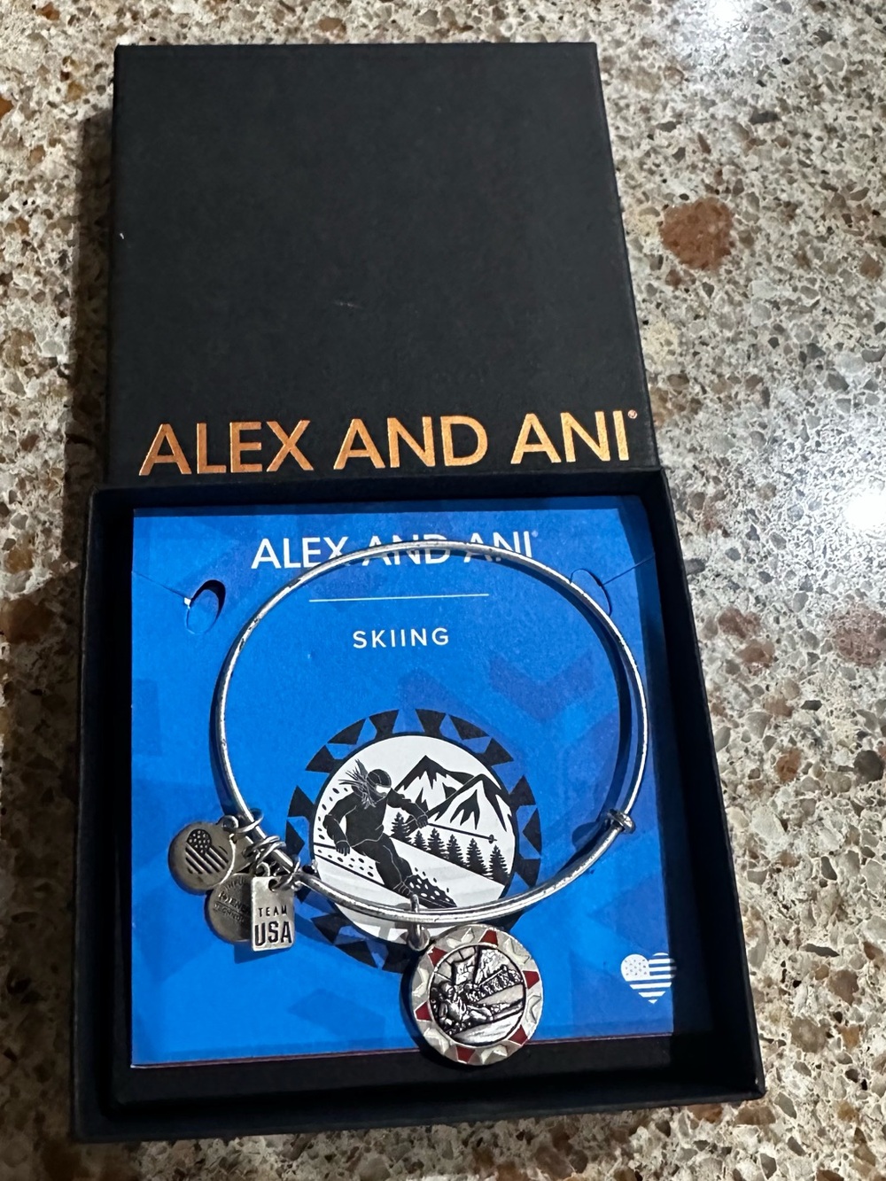 Alex and Ani Team USA Skiing Silver Charm Bangle Bracelet